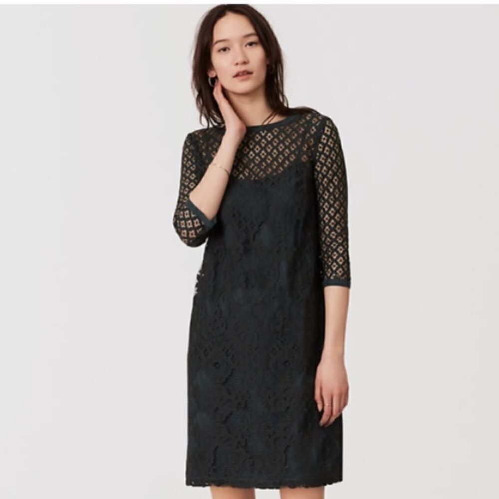 LOFT 10 Dark Green Lace Overlay Eyelet Quarter Sleeve Back Zip Shift Dress